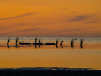 Scenic view of sea at sunset