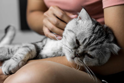 Midsection of woman with cat