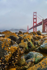 View of suspension bridge against sky