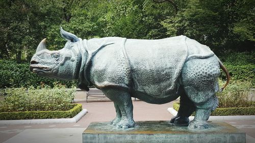 Side view of elephant standing on footpath
