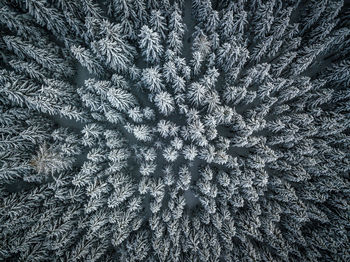 Full frame shot of snowflakes