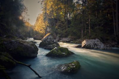 Scenic view of waterfall in forest against sky