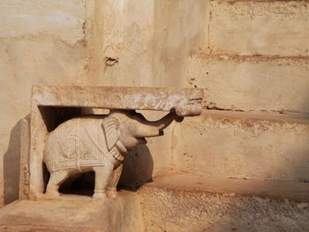 View of an animal sculpture on wall