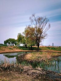 Scenic view of lake against sky