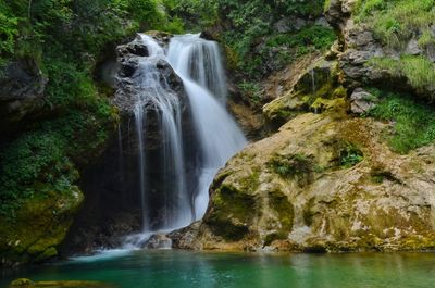 Scenic view of waterfall in forest
