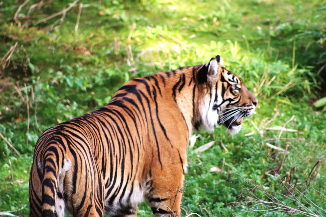 Burgers Zoo, Arnhem