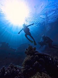 Scuba diving in sea