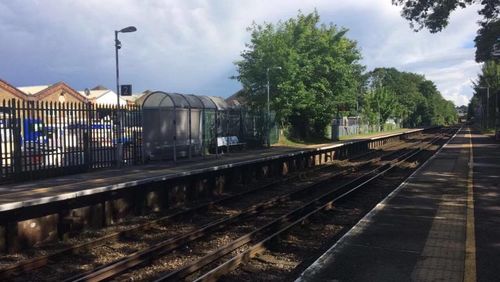 Railroad tracks amidst trees against sky