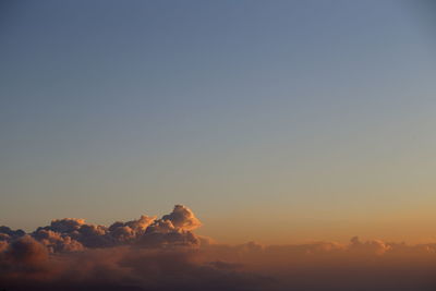 Trees against clear sky during sunset