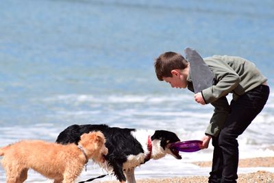 Full length of man with dog at beach