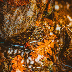 Close-up of water falling on rock