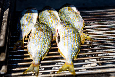 Close-up of fishes on barbecue grill