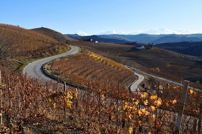 Scenic view of vineyard against sky