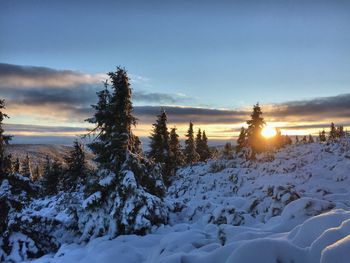 Snow covered landscape against sky during sunset