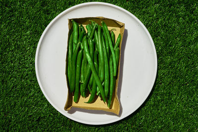 High angle view of green beans in plate on field