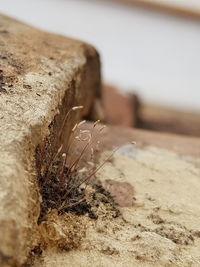 Close up of sand
