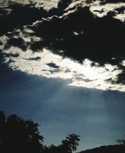 Low angle view of silhouette trees against sky