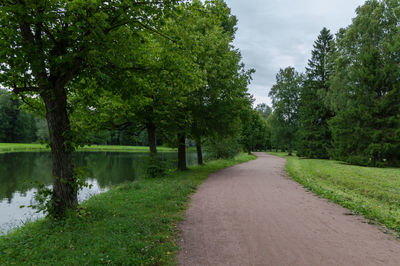 Road amidst trees against sky