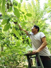 Side view of man standing amidst plants