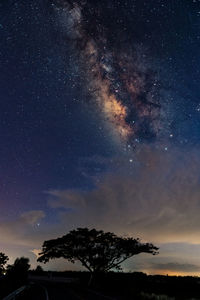 Low angle view of silhouette trees against sky at night