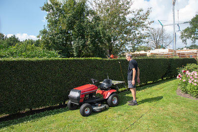 Male gardener using a lawn mowing tractor for cutting grass, gardening