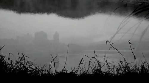Silhouette plants by lake against sky during foggy weather
