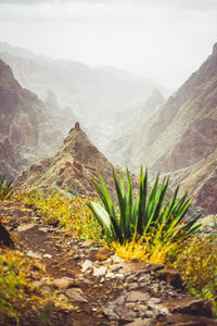 Mountain peak of xo-xo valley and agaves plants. santo antao island, cape verde