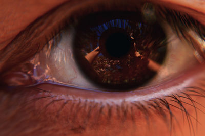 Extreme close-up of human eye