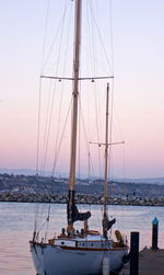 Sailboats moored on sea against clear sky