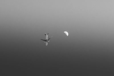 Low angle view of airplane in sky