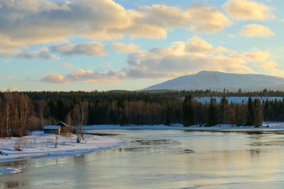 Trees on snow covered landscape against sky