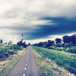 Trees on field against cloudy sky