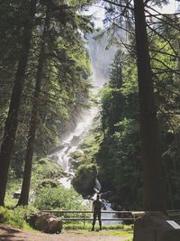 Scenic view of waterfall amidst trees in forest