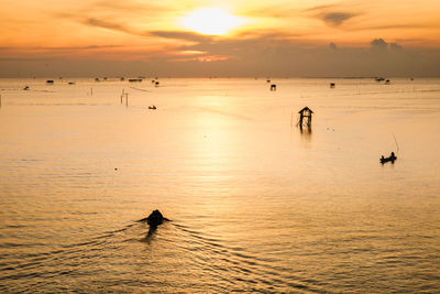 Fishing boat for small fish in the sea with sunset background, silhouette concept.