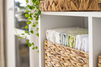 Close-up of potted plant