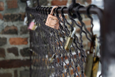 Close-up of padlocks hanging on metal fence