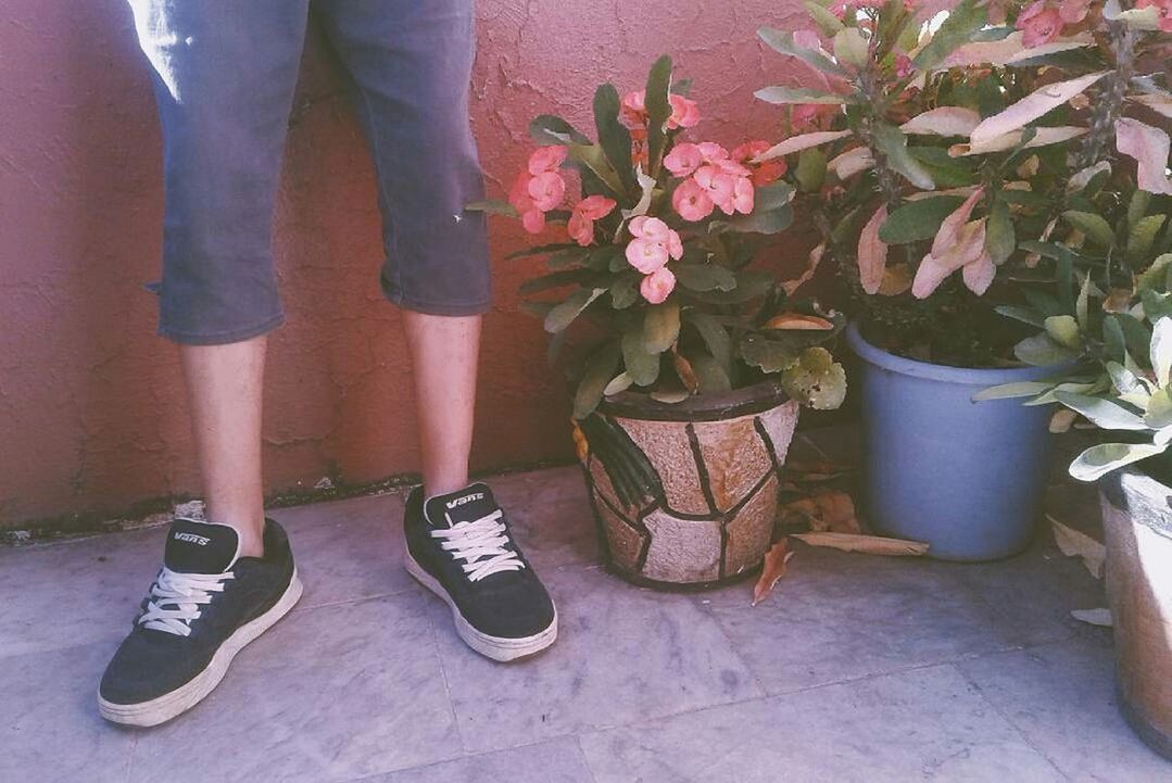 LOW SECTION OF MAN STANDING IN POTTED PLANT