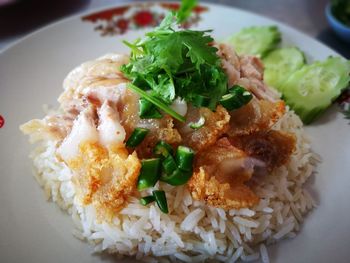 High angle view of meal served in plate