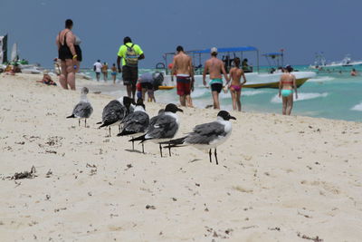 People at beach against sky