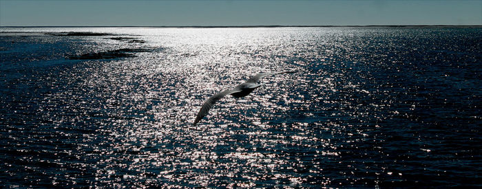 View of sea against sky