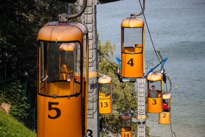 Close-up of yellow lantern hanging on tree