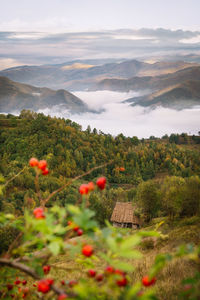 Scenic view of mountains an house in autumn foggy morning