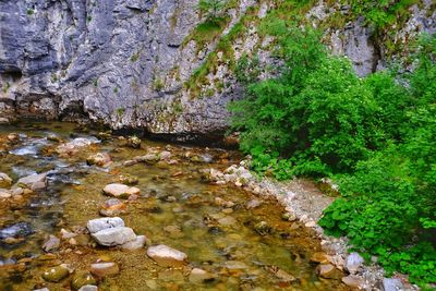 High angle view of stream flowing through rocks in forest