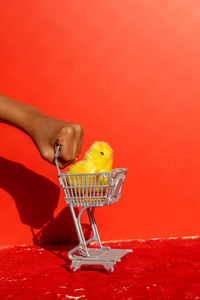 Cropped hand of woman holding small shopping cart against yellow background