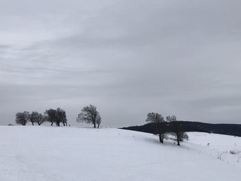 Trees on snow covered field against sky