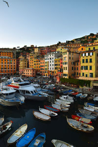 Boats moored at harbor against buildings in city