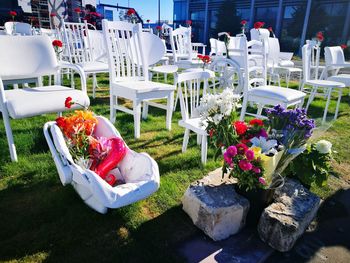 Chairs and table in greenhouse