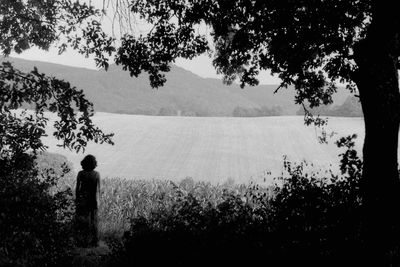 Rear view of silhouette man standing by tree against sky