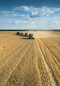 Combine harvesters on wheat field against sky