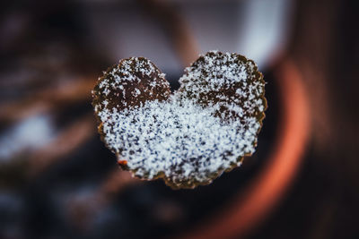 Close-up of heart shape cookie